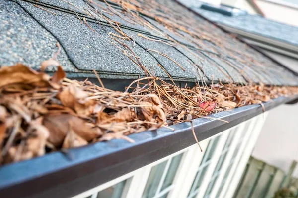 Residential gutters that need seasonal cleaning and debris removal