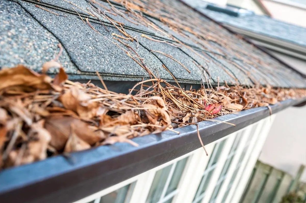 Residential gutters that need seasonal cleaning and debris removal